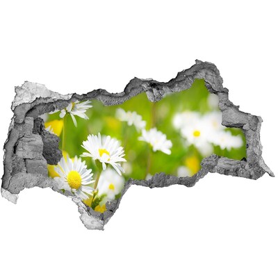 Wandbilder 3D Mauerdurchbruch Ein Blumenparadies hinter den Mauern