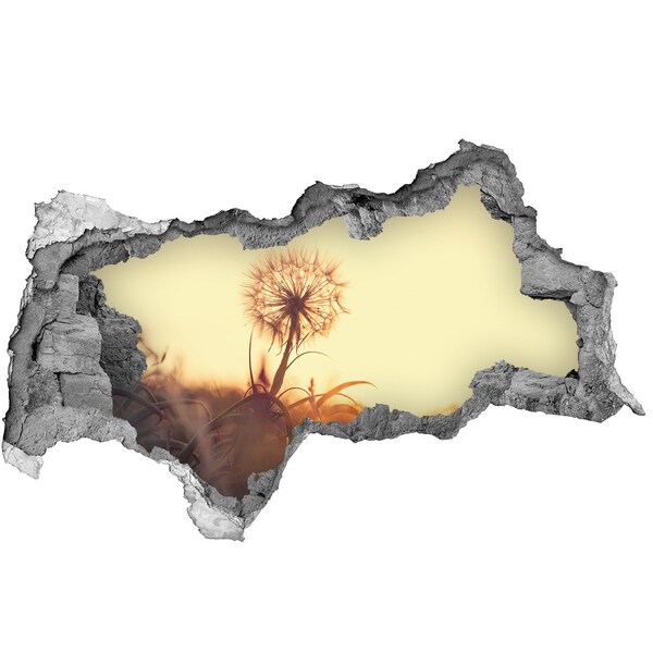 Wandbilder 3D Mauerdurchbruch Eine Blume in den Sonnenstrahlen