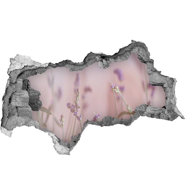 3D Wandtattoos Mauerdurchbruch Blumenwiese hinter der Mauer