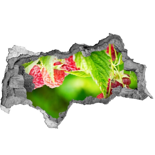 Mauerdurchbruch Aufkleber Himbeeren im Garten