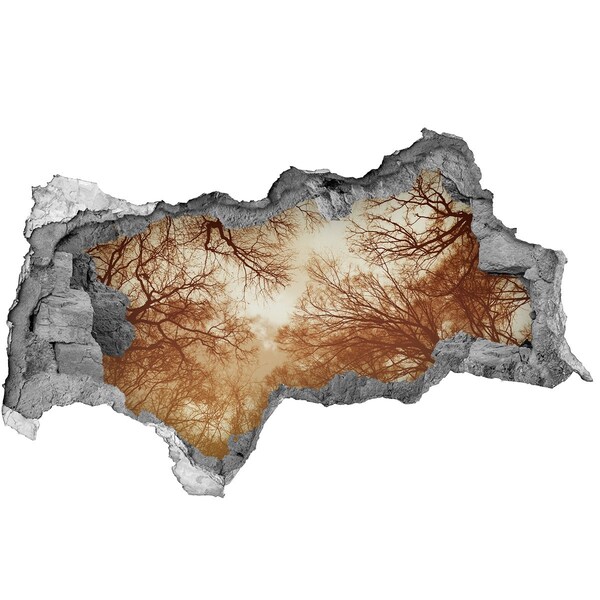 Wandbilder 3D Mauerdurchbruch Spiegelung von Bäumen in einer zerstörten Mauer