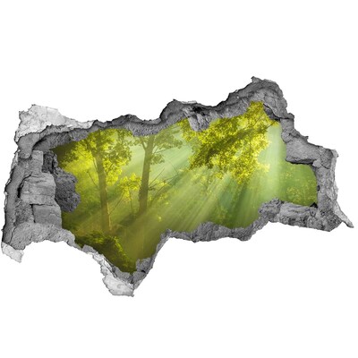 Mauerdurchbruch Aufkleber Grüner Wald mit Sonnenstrahlen