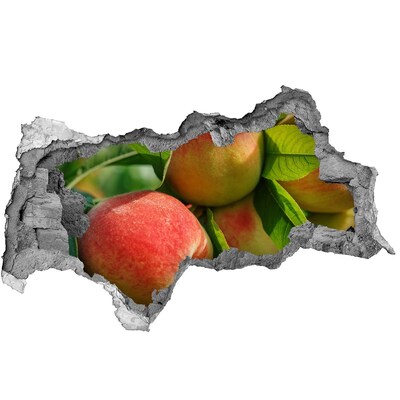 Wandtattoos Mauerdurchbruch Apfelplantage