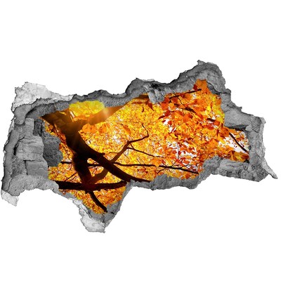 Wandbilder 3D Mauerdurchbruch Goldener Herbst hinter der Mauer