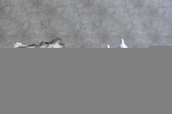 3D Wandtattoos Mauerdurchbruch Ein Blumenparadies hinter der Mauer