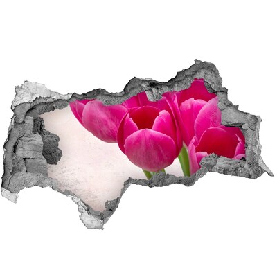 Wandbilder 3D Mauerdurchbruch Blumen in rosa Farbe
