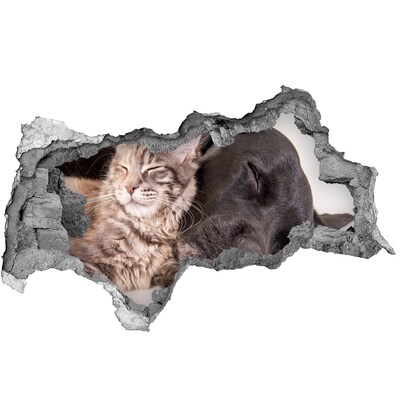 Wandtattoos Mauerdurchbruch Ein schöner Moment der Freundschaft