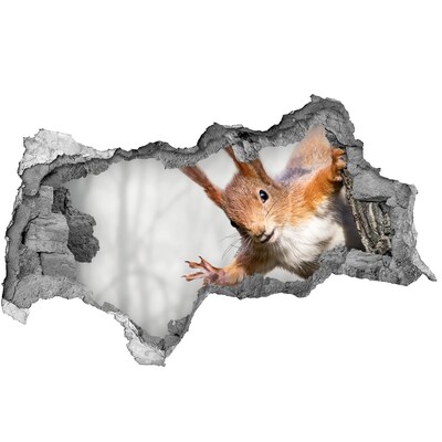 Wandtattoos Mauerdurchbruch Eichhörnchen in Aktion