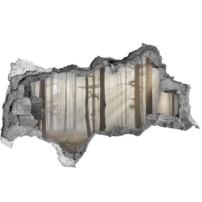 Mauerdurchbruch Aufkleber Nebeliger Wald im Morgenlicht