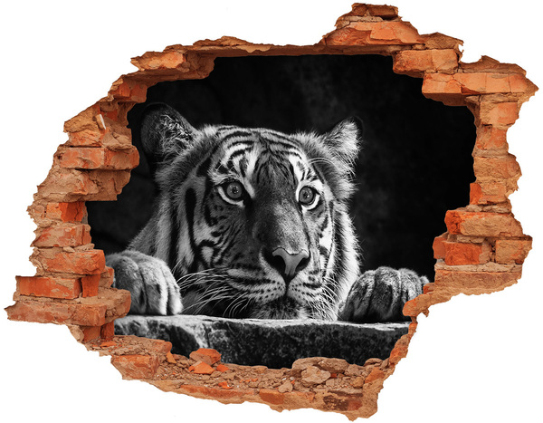 Wandtattoos 3D Optik Loch Tiger in einem Loch in der Wand