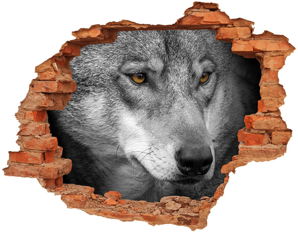 Wandbilder 3D Mauerdurchbruch Wolf in Ruinen