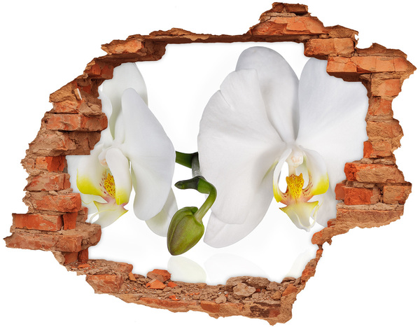 Wandbilder 3D Mauerdurchbruch Orchideenblüten im Beton