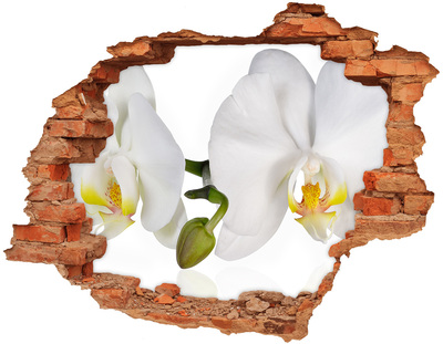 Wandbilder 3D Mauerdurchbruch Orchideenblüten im Beton