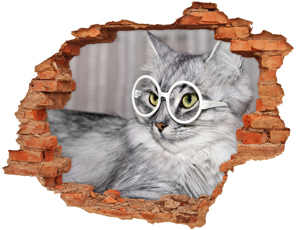 Wandbilder 3D Mauerdurchbruch Katze mit Brille durch ein Loch in der Wand