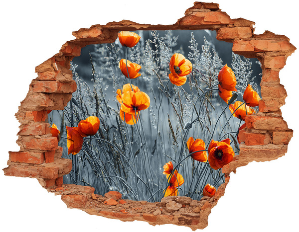 Wandtattoos 3D Optik Loch Blumen in einem Loch in der Wand