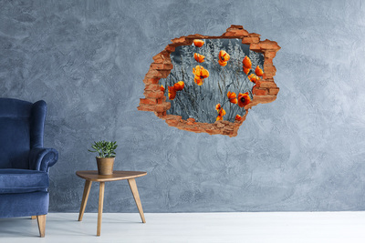 Wandtattoos 3D Optik Loch Blumen in einem Loch in der Wand