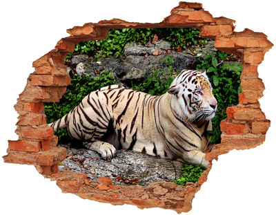 Wandbilder 3D Mauerdurchbruch Tiger in seinem natürlichen Lebensraum