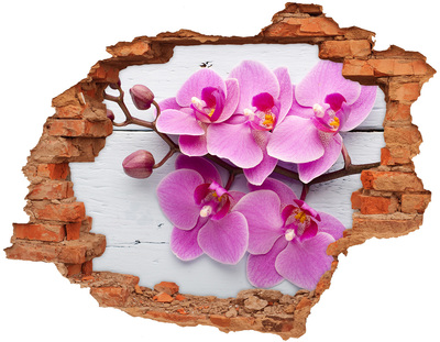 Wandbilder 3D Mauerdurchbruch Orchideen blühen durch ein Loch in der Wand