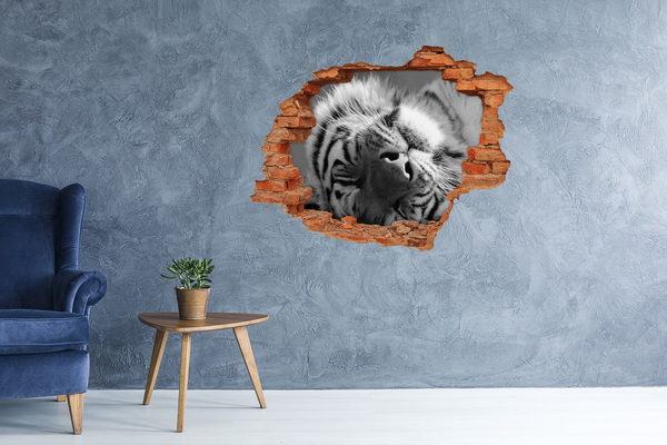 Wandtattoos 3D Optik Loch Das Gesicht des Tigers