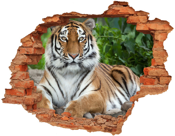 Wandbilder 3D Mauerdurchbruch Tiger in seinem natürlichen Lebensraum