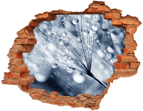 Wandtattoos 3D Optik Loch Tautropfen auf einem Löwenzahn