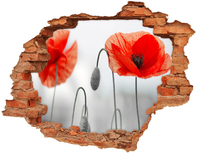 Wandtattoos Loch Blumen in einem Loch in der Wand