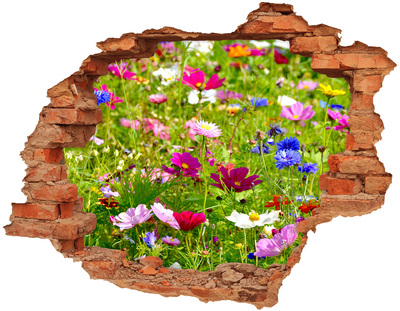Wandbilder 3D Mauerdurchbruch Ein Blumenparadies hinter der Mauer