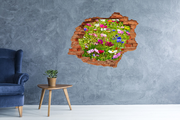 Wandbilder 3D Mauerdurchbruch Ein Blumenparadies hinter der Mauer