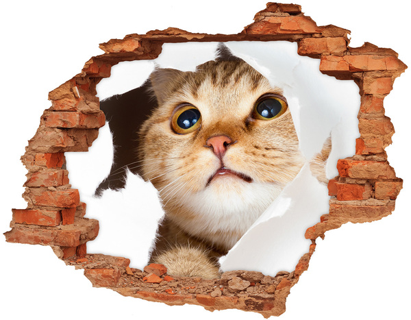 3D Loch Aufkleber Katze durch ein Loch in der Wand