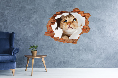 3D Loch Aufkleber Katze durch ein Loch in der Wand