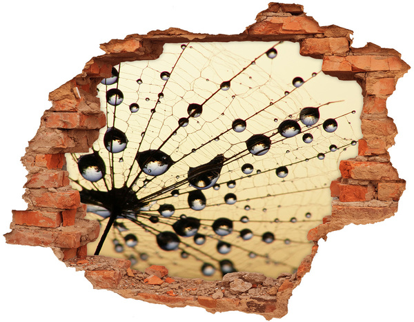 3D Loch Aufkleber Wassertropfen auf einem Schmetterlingsflügel