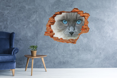 Wandbilder 3D Mauerdurchbruch Katze in einem Loch in der Wand
