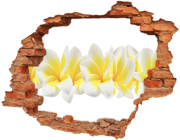 Wandtattoos 3D Optik Loch Ein Blumenparadies hinter der Mauer