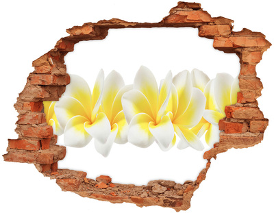 Wandtattoos 3D Optik Loch Ein Blumenparadies hinter der Mauer