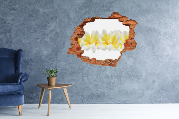 Wandtattoos 3D Optik Loch Ein Blumenparadies hinter der Mauer