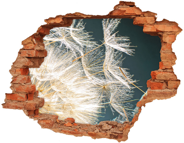 Wandtattoos Loch Hinter dem Loch erstreckt sich eine Blumenlandschaft.