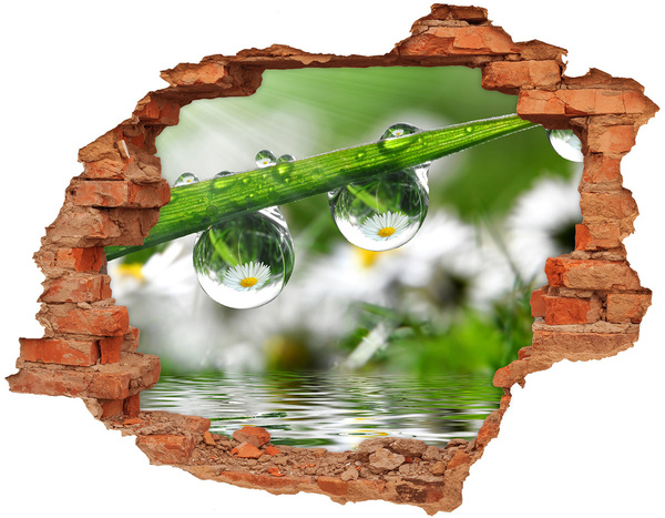 Wandtattoos Loch Blumenoase mit Wassertropfen