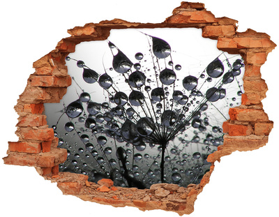 Wandtattoos Loch in der Wand Wassertropfen auf einem Löwenzahn