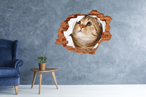 Wandtattoos Loch in der Wand Katze in einem Loch in der Wand