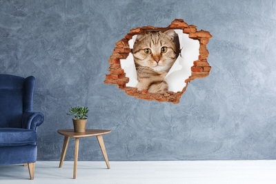 Wandtattoos 3D Optik Loch Katze in einem Loch in der Wand