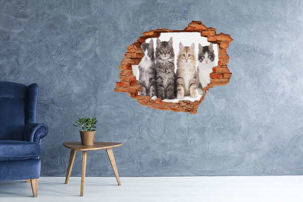 Wandbilder 3D Mauerdurchbruch Katzen in einem Loch in der Wand
