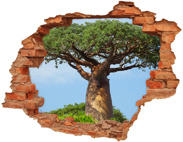 Wandtattoos 3D Optik Loch Baobab in einem Loch in der Wand