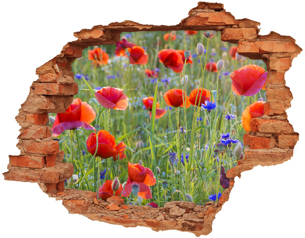 3D Loch Aufkleber Ein Blumenparadies hinter der Mauer