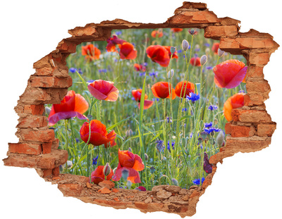 3D Loch Aufkleber Ein Blumenparadies hinter der Mauer