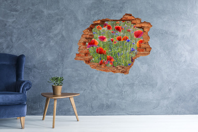 3D Loch Aufkleber Ein Blumenparadies hinter der Mauer