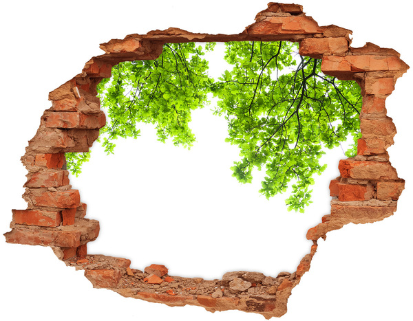 Wandtattoos Loch Eine grüne Oase hinter der Mauer