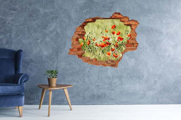 Wandtattoos Loch in der Wand Ein Blumenparadies inmitten der Mohnblumen