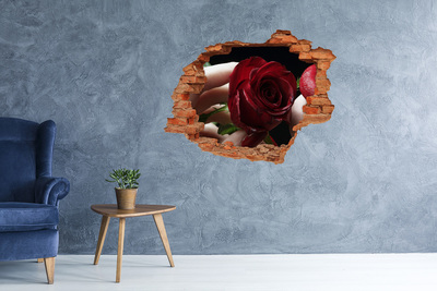 3D Loch Aufkleber Eine Rose in einer verfallenen Mauer