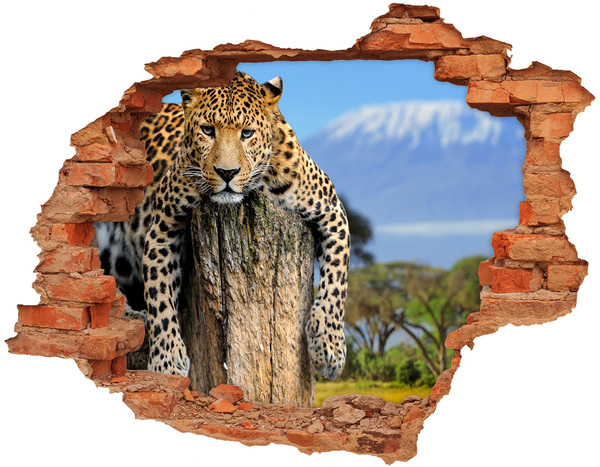 Wandbilder 3D Mauerdurchbruch Der klebrige Blick eines Leoparden