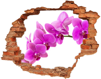 Wandbilder 3D Mauerdurchbruch Orchideen durch ein Loch in der Wand